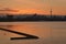 Solitary mute swan swims in golden glow of sunrise