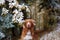 solitary Nova Scotia Duck Tolling Retriever stands amidst a dusting of snow, a blend of autumn warmth and winter's