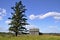 Solitary old farmhouse and a tree