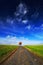 Solitary orange chestnut tree during autumn. Tree in the meadow, with dark blue sky with white clouds. Road between green