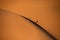 Solitary oryx standing on a sand dune in Sossusvlei desert