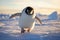 Solitary Penguin's March on a Crisp Antarctic Day - Embracing the Chill of the Wild. Generative AI
