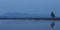 A solitary pine tree reflecting on Yellowstone Lake while mountains loom in the background in Yellowstone National Park.