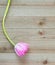 Solitary pink tulip with green stem on a wood background with copy space