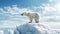 Solitary polar bear on a diminishing ice cap, sky in the background. Representing the dire consequences of rising temperatures and