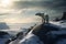 Solitary Polar Bear on Rocky Outcrop in Snowy Arctic Landscape, Winds Creating Movement and Energy