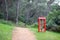 Solitary Red Telephone Booth in a Forest Path