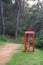 Solitary Red Telephone Booth in a Forest Path