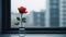 A solitary rose resting on a windowsill, AI Generative