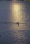 Solitary Rower at sunset on Potomac River, Washington, D.C.