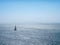 Solitary sailboat sails along the Pacific Ocean on an extremely