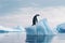 Solitary Sentinel: A Lone Penguin Stands Vigil on a Pristine Iceberg. Generative AI