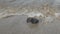 Solitary stone in the sand on the shorebreak