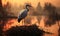 A solitary stork stands gracefully on its nest during a misty sunrise in a tranquil wetland sanctuary