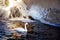 A solitary swan floats on blue water, free of ice, on a clear wi