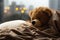 Solitary teddy sleeps on bed, gazing at rain, white serenity