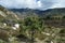 Solitary Tree and Dramatic clouds on top of San Gabriel Mountain