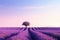 Solitary Tree Graces The Tranquil Lavender Field