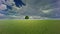 Solitary tree on a green meadow during summertime, clouds, and sky, high-speed camera