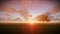 Solitary tree on green meadow, timelapse sunset