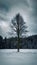 Solitary tree standing amidst snowy winter forest landscape, evoking solitude