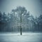 Solitary tree standing amidst snowy winter forest landscape, evoking solitude