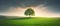 Solitary tree standing on a hilltop on beautiful sunrise, landscape panorama with vibrant green grass fields. Generative AI