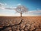 Solitary Tree Standing Tall Amidst a Vast, Cracked Desert Under a Serene Sky