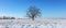 A solitary tree stands amidst a vast snowy landscape, under the clear blue sky, exuding calm and serenity.