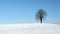 A solitary tree stands amidst a vast snowy landscape, under the clear blue sky, exuding calm and serenity.