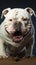 A solitary, white American Bully dog commands attention in isolation