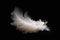 Solitary white fluffy feather with a black background