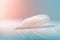 Solitary white fluffy feather with a soft pastel background