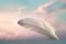 Solitary white fluffy feather with a soft pastel background
