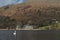 Solitary white mute swan cygnus olor swimming in front of a building on a mountain lake