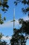 A solitary wind turbine viewed through a tree