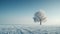Solitary winter tree in frosty field with backlit snowfall, photorealism, cold tones