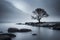 A solitary winter tree reflects on the calm lake, embodying serenity as snow blankets the landscape