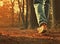 A solitary woman or man, dressed in denim jeans andsneakers, strolls along the pathway within the park.