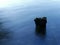 Solitary wooden log in a lake at dusk