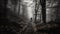 Solitude in nature one person hiking through foggy forest generated by AI