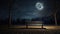 solitude park bench at night