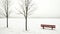 Solitude - Red Park Bench, Trees, Foggy, Snowy Lake