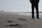 Solitude by the Sea. Low angle view Silhouette of Boy walking along the beach