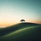 Solitude at Sundown: Lone Tree on Grassy Hill