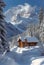 Solitude in the Swiss Alps: A Brawny Youngster\\\'s Snowy Cabin Adv