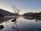 The Solitude of the Welsh Lonely Tree