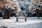 Solitude in a winter garden, a wooden chair amid blurred surroundings