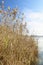 Solo Backpacker Trekking on the mountain in autumn trought foliage, lake, yellow, and orange colors