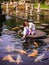 Solo Female Traveler Feeding Koi Fish on Stepping Stones around Koi Fish at Main fountain at Tirta Gangga, Bali